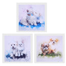 Set 3 Creative Art Oil Painting Canvas Picture Dog Cat Home Decor 40x40cm