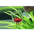 2x Glass Feeding Cup Fish Feeder Shrimp Red Worms