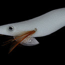 1PC Luminous Squid Jigs White Glow Wood Shrimp with Octopus Squid Jig Hooks_SE