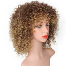 Hair Bob Wigs Brazilian Lace Front Human Hair Wigs For Black Women Natural