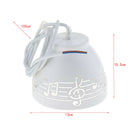 Iron Wire Hanging Lamp Shade Pendant Light Chandelier Shades Note