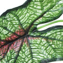 Artificial Plastic Fabric Aquascaping Plant Grass for Fish Tank Aquarium T8M7