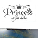 princess sleeps baby kids girl quote wall stickers art room removable decals B3C