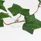 Plastic Terrarium Sweet Potato Leaves Plants Vine Ornament Landscape for