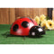15xGarden Ladybug Insect Ornament Home Garden Decor Wall Hanging Decor Ornaments