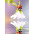 5D DIY Full Drill Diamond Painting Flower Ladybug Embroidery Mosaic Kits