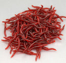 Soft Red Earthworm 100 Pcs Fishing Bait Worm Lures Crankbaits Hooks Baits Tackle