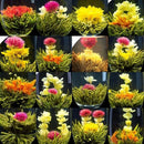 16Pcs Different Handmade Blooming TEA,Artistic flowering Green Flower ball