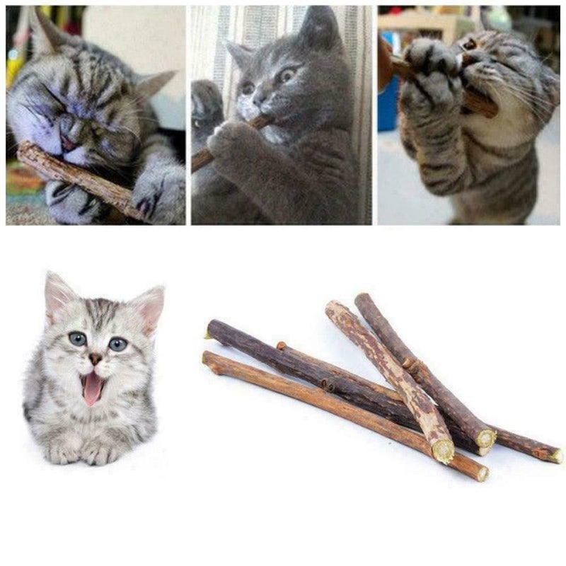 10x Cat Snacks Natural Matatabi Chew Catnip Stick Teeth Cleaning Molar Brus Q1Q9