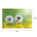 Dandelion 5D Round Full Drill Diamond Painting DIY Needlework Cross Stitch
