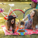 Dog Silicone Bowl Folding Outdoor Portable Pet Food Feeder Dish (Blue) A