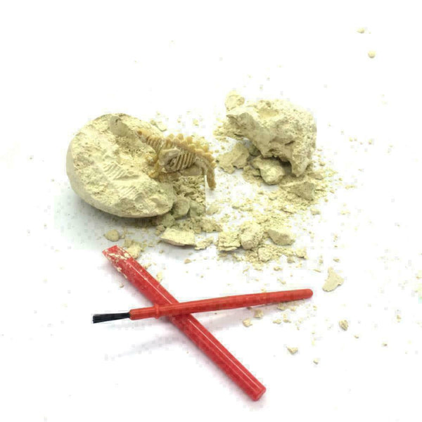 Dinosaur Egg Excavation Kit Archaeology Dig Up History Skeleton Kid Toys W4 B3Z6
