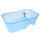 Reptile Tortoise Turtle Vivarium Tank Fish Aquarium with Coconut Tree Blue