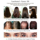 10ml Organic Castor Oil For Hair Growth Eyebrows & (included brush) Eyelash N8H3