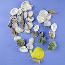 100PCS Aquarium Beach Nautical DIY Shells Mixed Bulk Sea Shell Fashion
