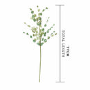 Natural Dried Flowers Artificial Flower Dried Eucalyptus Leaf Home decoratio Hn