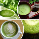 Matcha Whisks Bamboo Powder Green Tea Japanese Brush Tool, 80 Prongs G1B6