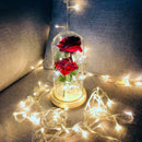Beauty Rose and Beast Led Light With Fallen Flower Petals in a Glass Dome O