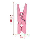 100 Mini wooden pegs (Pink)