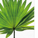 3 Pcs Painting Print Modern Palmetto Leaf Unframed On Canvas Wall Decor M