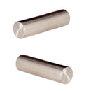 Pack of 12 Pieces Professional Pickup Pole Slug Metal Pins Cyclinder Magnet Y7O7