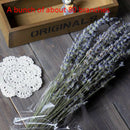 60-80Pcs Lavender Natural Dried Flower Bouquet for Wedding Party DecorationB Ew
