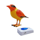 Unique Wireless Digital Bird Sound Home Remote Control Chime Doorbell Lovel D5F3
