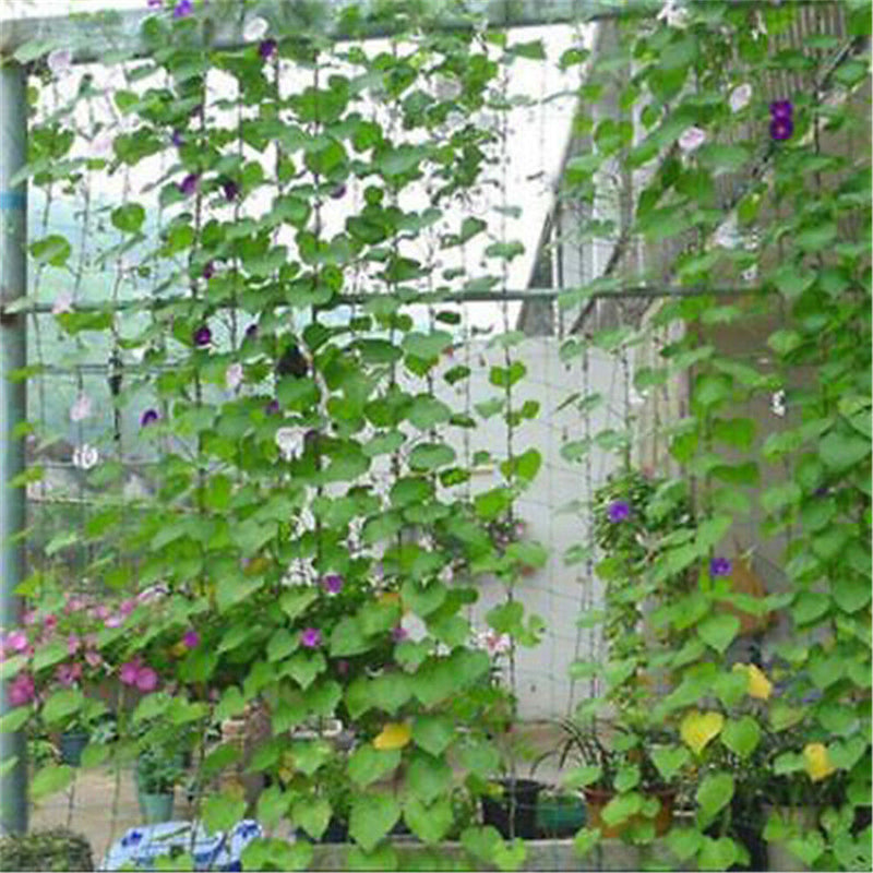 1.8x1.8m Garden Green Nylon Trellis Netting Support Climbing Plant Nets Fence ME