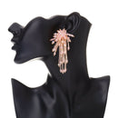 Bohemian Crystal Beads Beaded Tassel Earrings Long Paragraph Earrings Ethni