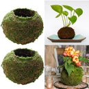 2Pcs Moss Ball Flower Plant Pot, Bird Nest, Birds House, DIY Gardening Home