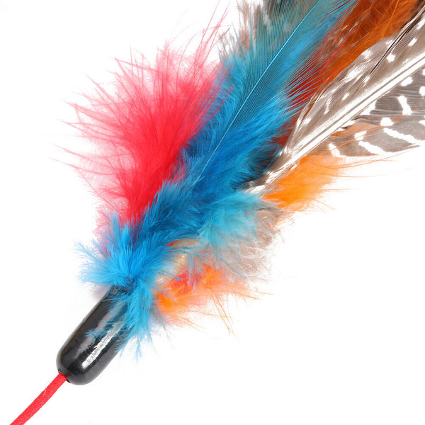 Cat Teaser Wand Toys Colorful Feather Rod Pet Interactive Stick with Bell A#S