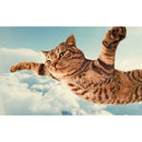 5D DIY Full Drill Diamond Painting Cross Stitch Embroidery Kits (Fly Cat)