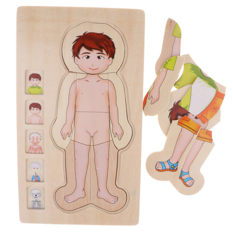 5-Layer Wooden Boy Body Puzzle, Help Your Boy Learn His Own Body Structure
