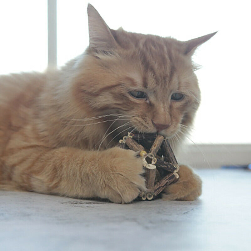 Matatabi Stick with Catnip Ball Organic Natural Plant Teeth Cleaning Chew  3C