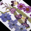 1 Set Assorted Pressed Dried Flowers Card Scrapbooking Phone Cover Crafts
