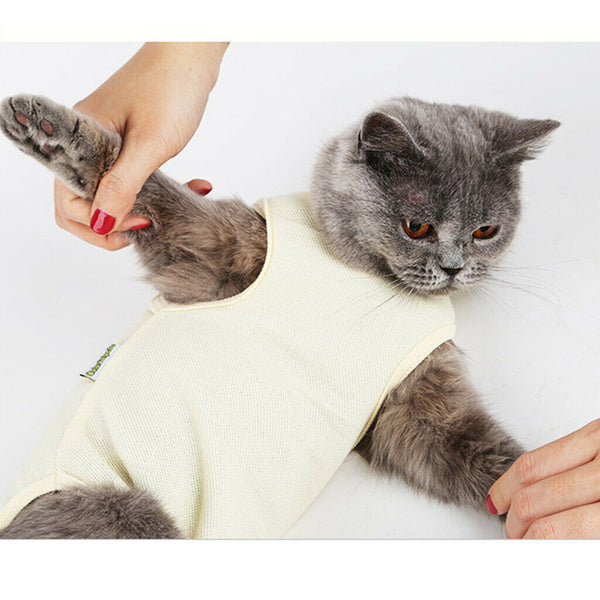 2Pcs After Shaving Daily Wear Recovery Suit for Cat Dog Pet Clothes ( Blue &