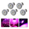 Set of 5 E27 10W Full Spectrum LED Growing Light Bulb Lamp For Flower Indoor