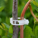 100Pcs Plant Vine Tomato Stem Clips Supports Connect Trellis Twine Cages Flower
