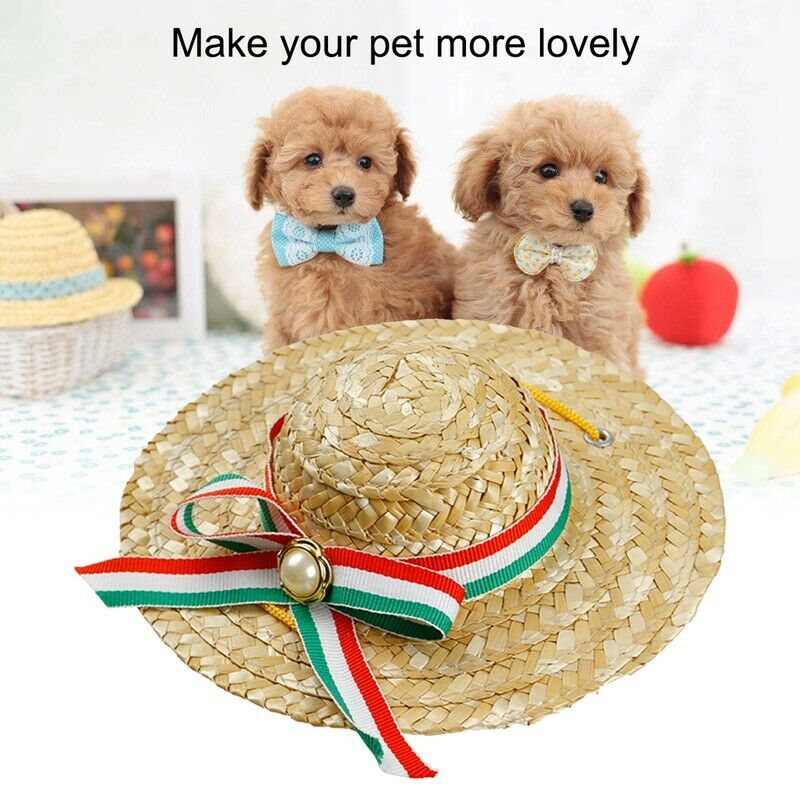 Mini Pet Dogs Sombrero Sun Hat Beach Party Straw Hats Dogs fashion Style Ha T1R2