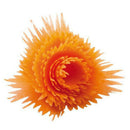 Household products Spiral funnel cut flower grater