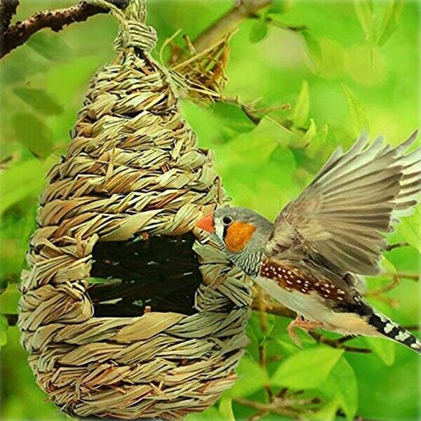 2 Pack Grass Bird Hut Bird House House Hanging Bird Nest Fiber Hand-Woven BiT2D8