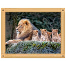 5D DIY Full Drill Diamond Painting Animal Tiger Cross Stitch Kits (K519)