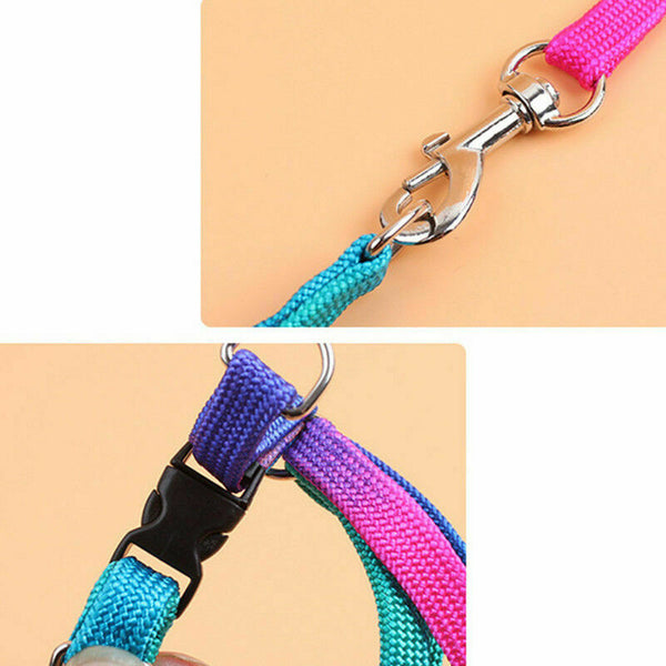 Small Pet Dog Puppy Cat Kitten Harness for Walking Lead Leash Collar AU C1A1