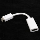 Plastic Mini DVI Male to HDMI Female Video Adapter Cable for MacBook