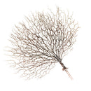 Artificial Plant Faux Coral Branch Home Ornament Aquarium Fish Tank Decor 01