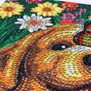 Diamond Painting Special Shaped Diy 5D Partial Drill Cross Stitch Diamond E L2W1