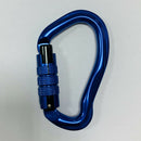 Screwgate Carabiner