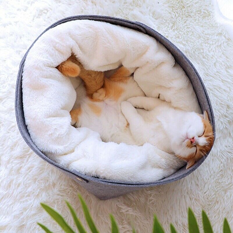Cat Basket Pet Dog Bed for Cat Warm Bed Dogs Houses for Cats Pets Products  X5X6