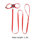 Parrot Leash Adjustable Harness Bird Anti Fly Outdoor Training Rope (Red)