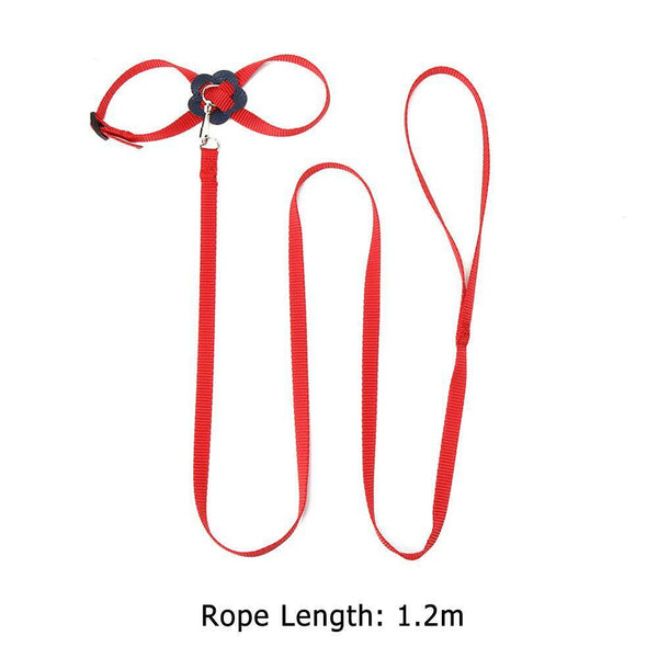 Parrot Leash Adjustable Harness Bird Anti Fly Outdoor Training Rope (Red)